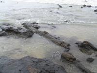 Albums/20060200-New Zealand 2006/20060313-Catlins/25